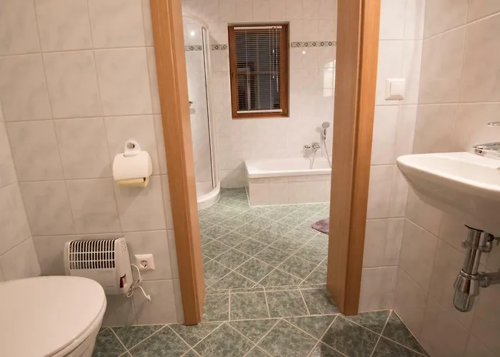 Gletscher * 플래타취